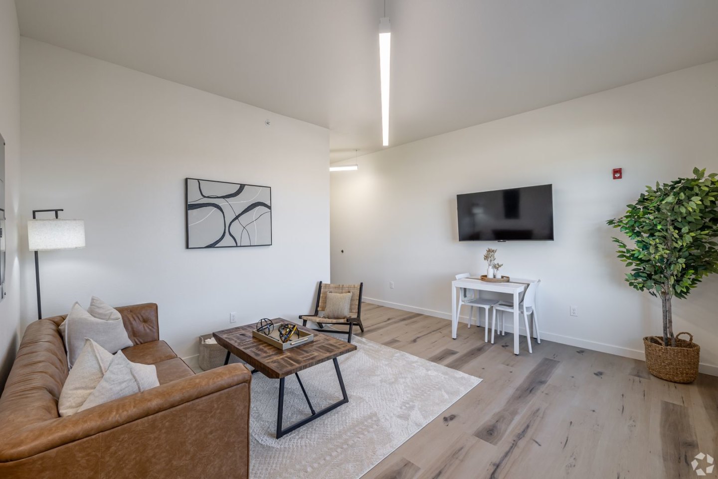 Urban Loft Co Conway Image 1