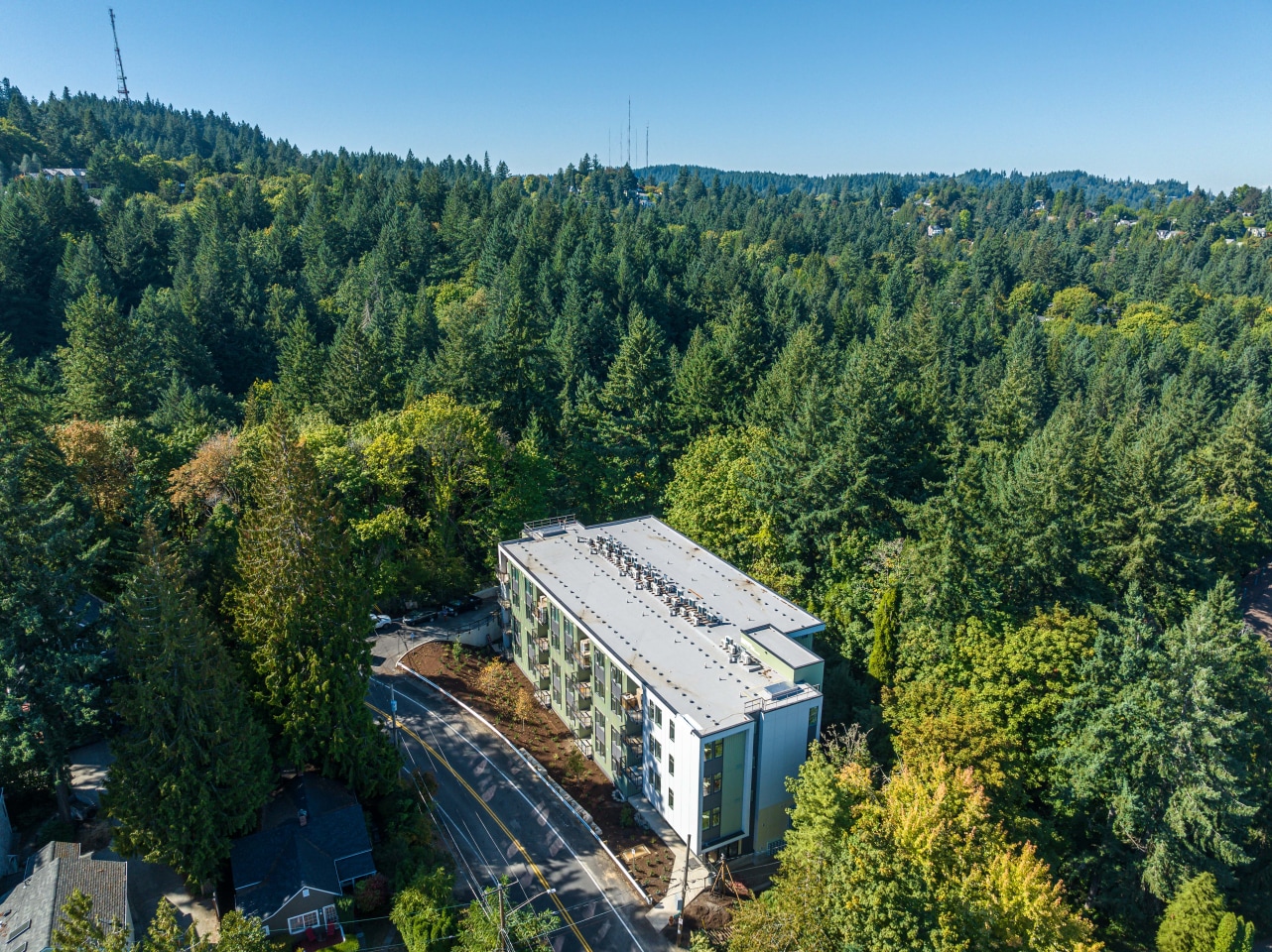 The Woods on Marquam Hill Image 5
