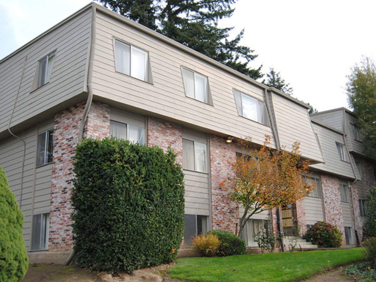 Fir Terrace Image 2