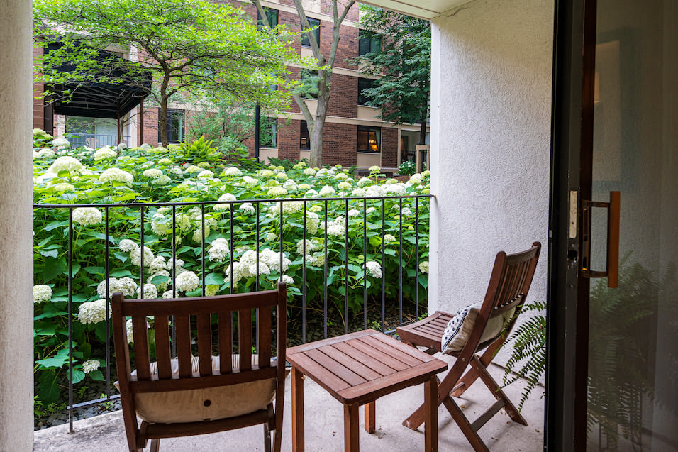 York Plaza Apartments Image 10