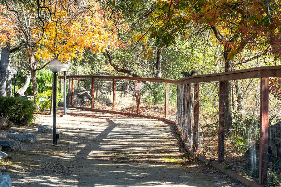 Sutter Ridge Image 3
