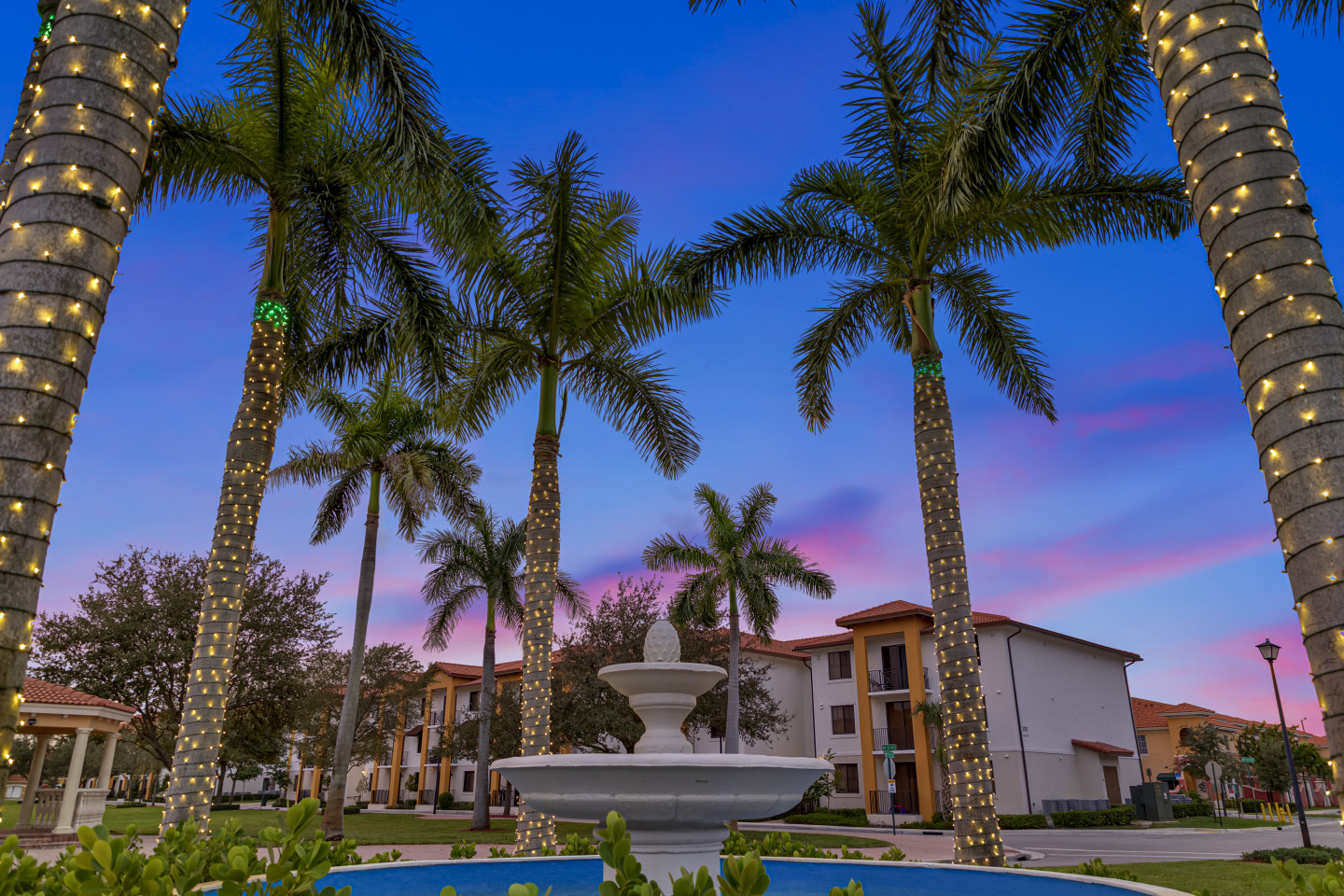 Bella Vista Apartments Image 34