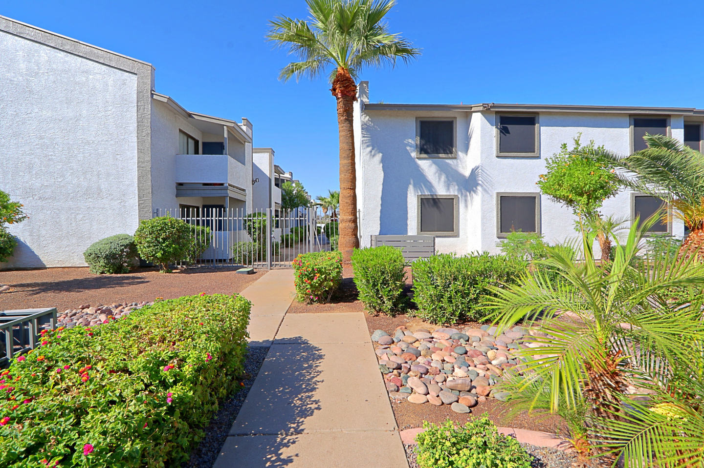 The Coronado (Palms on Monte Vista) Image 20