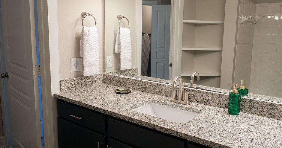 Estates at Vista Ridge Image 20