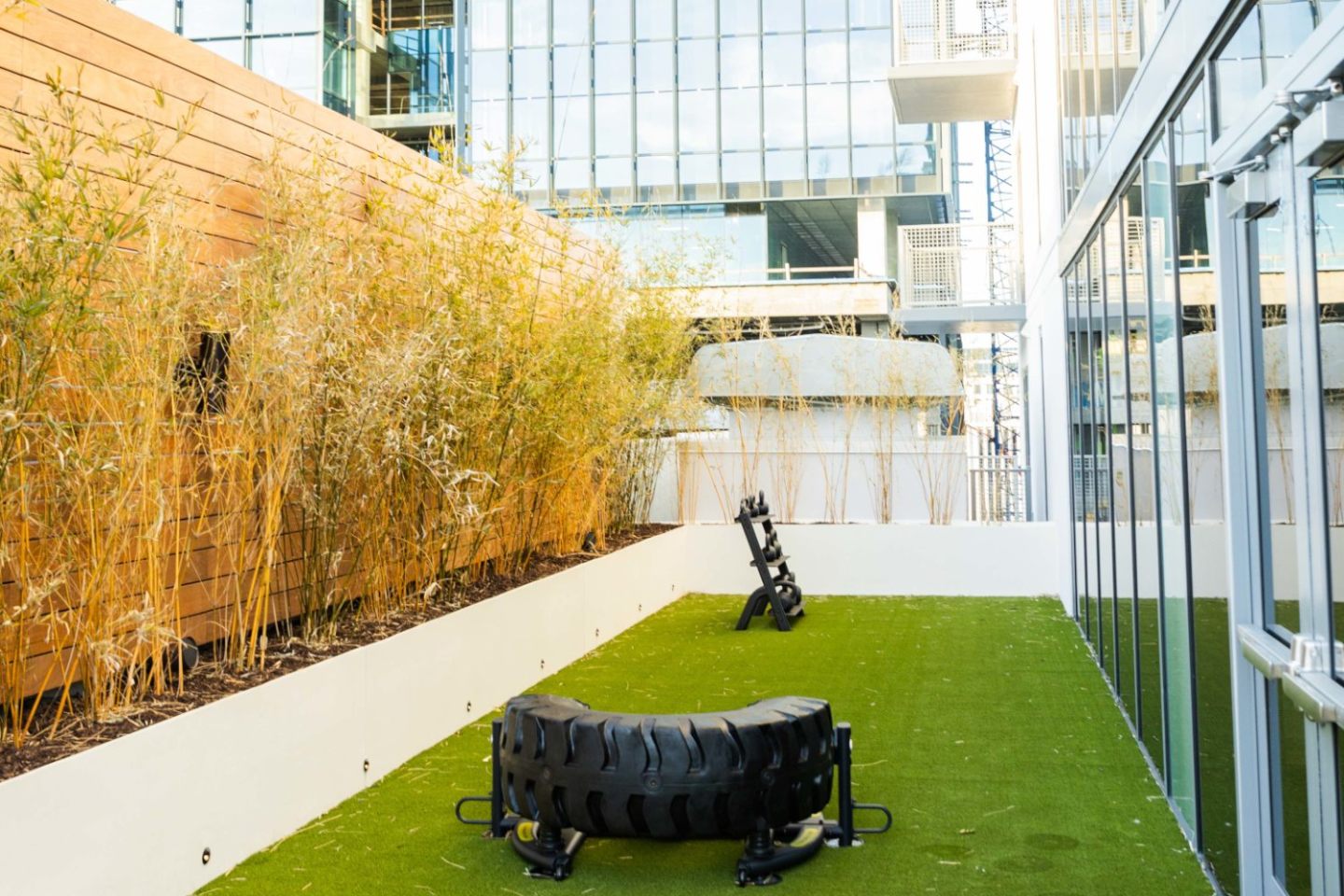 Sora at Spring Quarter Image 13