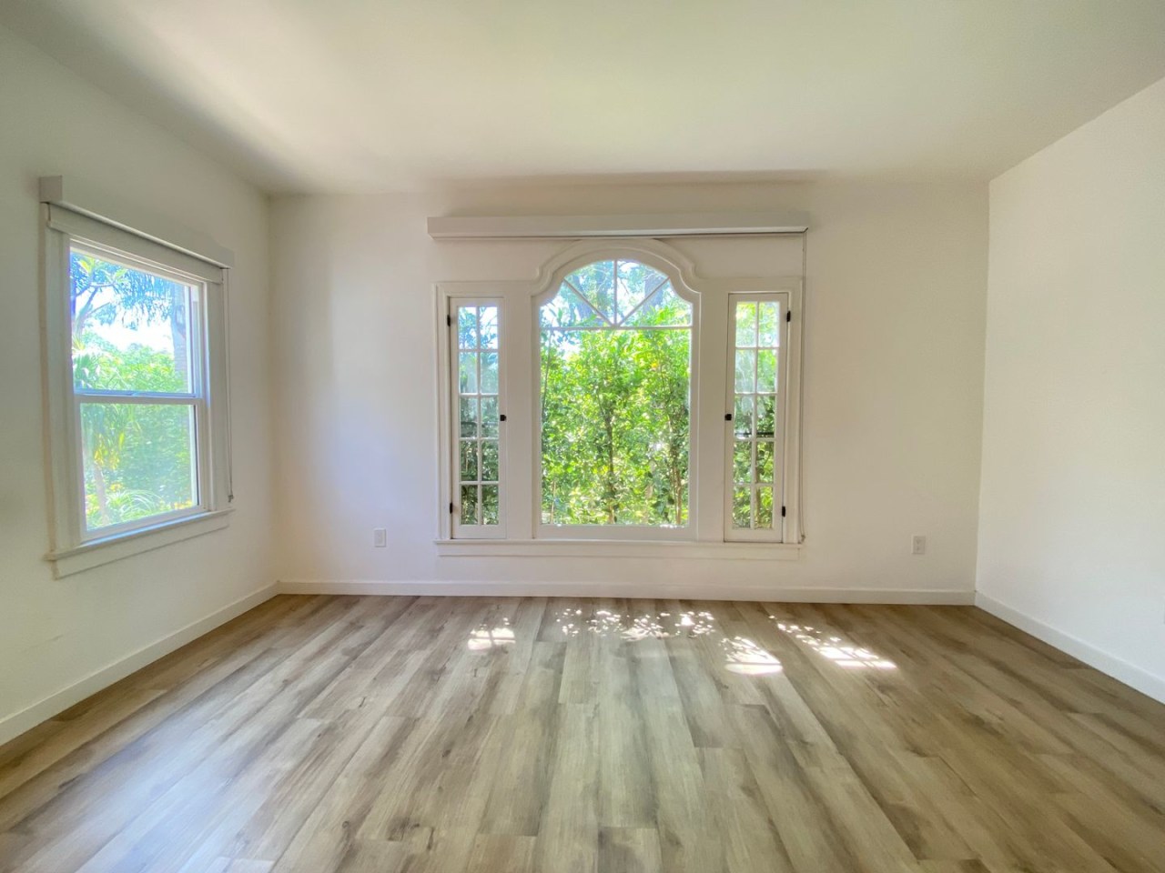 Savanna 7th Avenue Image 1