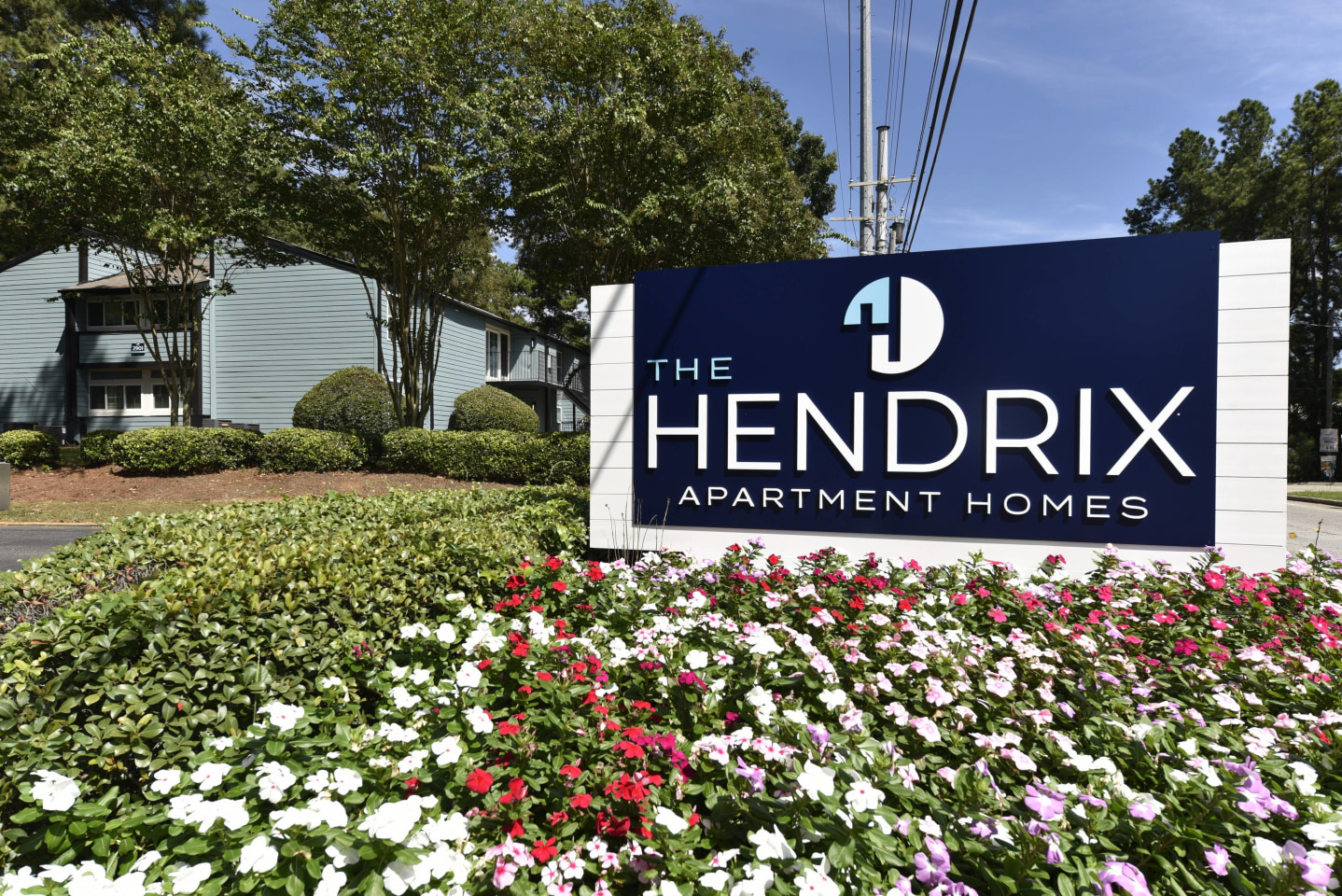 The Hendrix Image 25