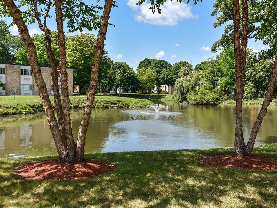 Harbor Lake Image 22