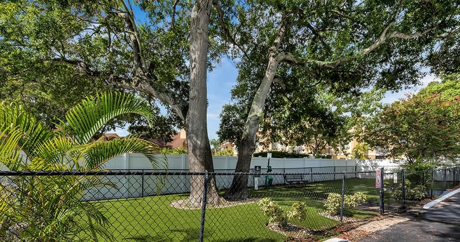 Promenade at Belleair Image 22