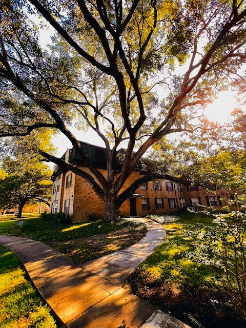 Treemont Senior Living Image 12