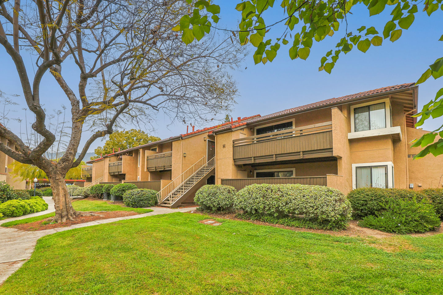 Citrus Place Image 11