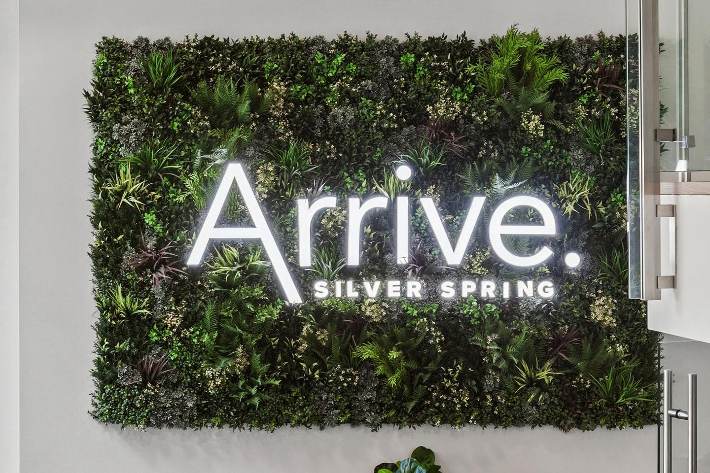 Arrive Silver Spring Image 59