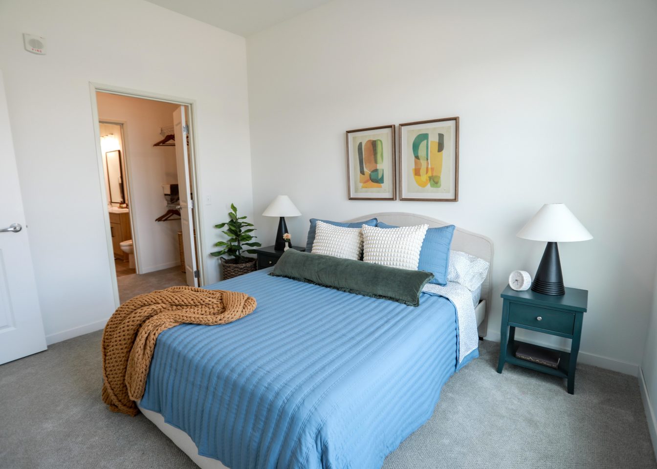 Juniper Image 44