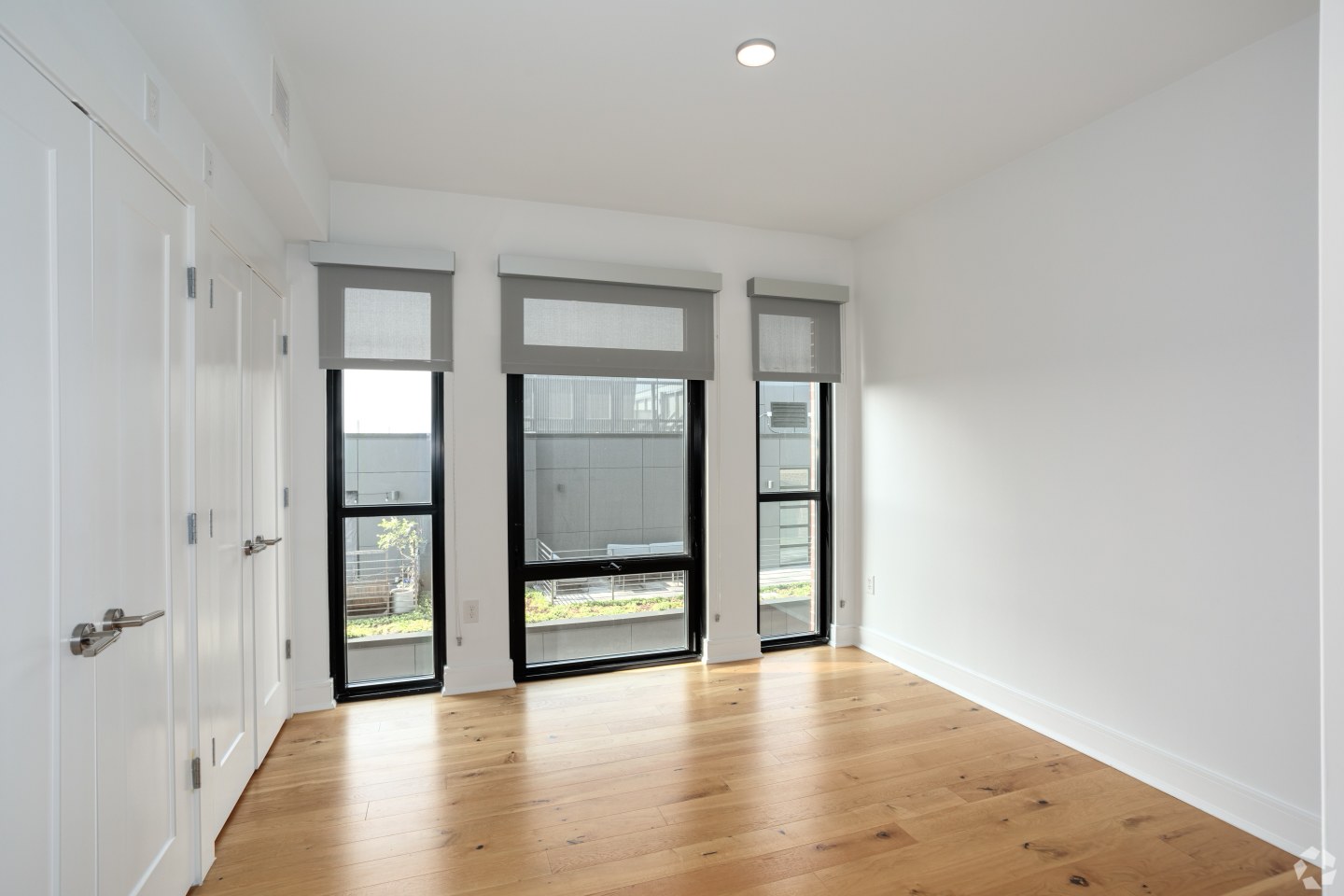 The Shaw Image 29