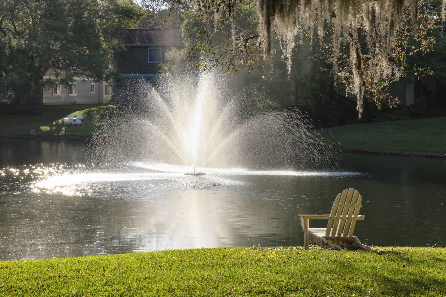 Agora at Port Richey Image 18
