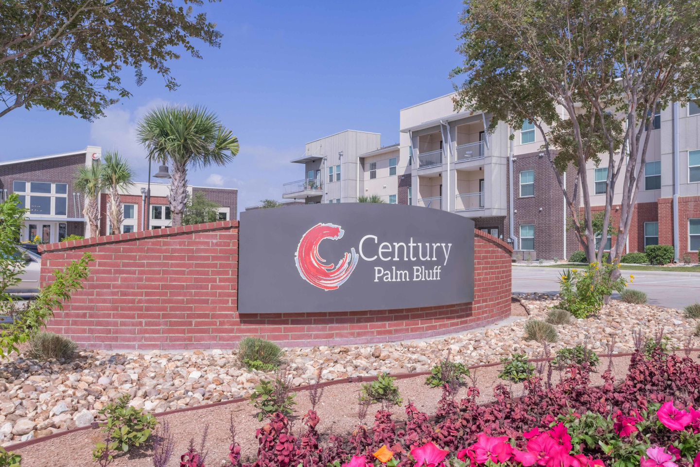 Century Palm Bluff Image 3