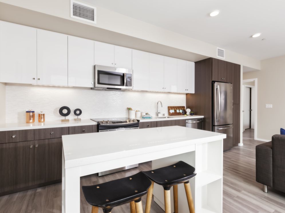 Avalon Dogpatch Image 3