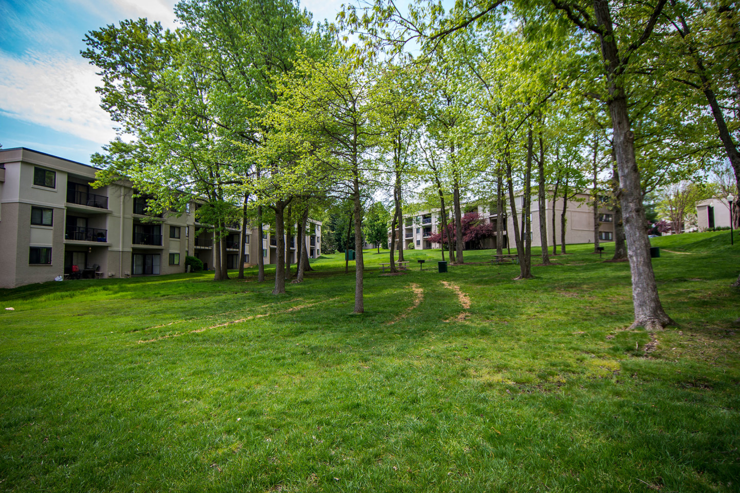 Ashley Apartments Image 40