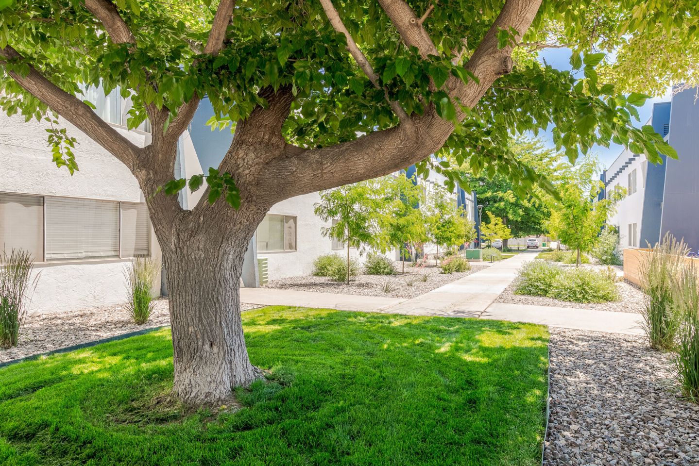 Valley Apartments Image 21