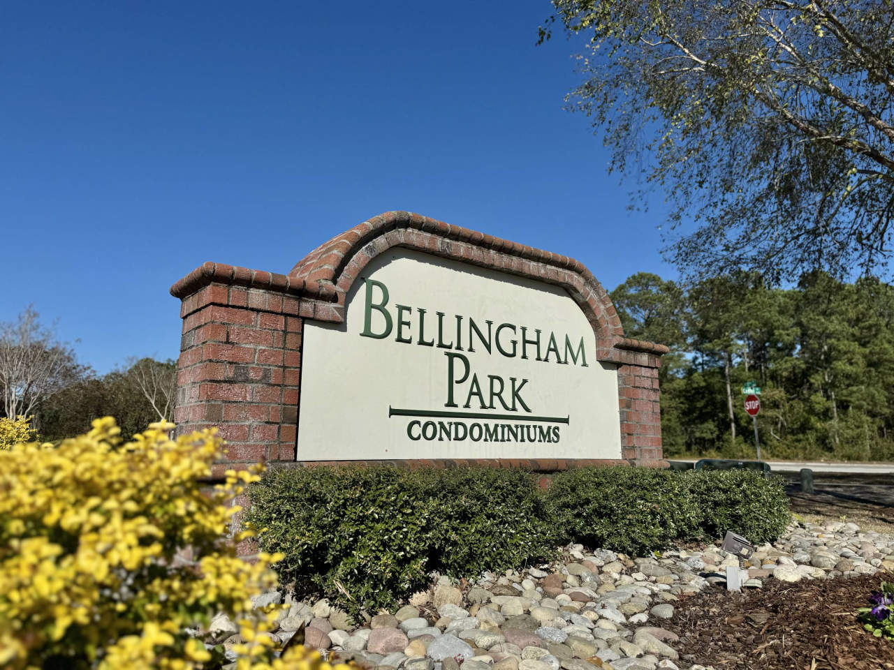 Bellingham Park Image 22