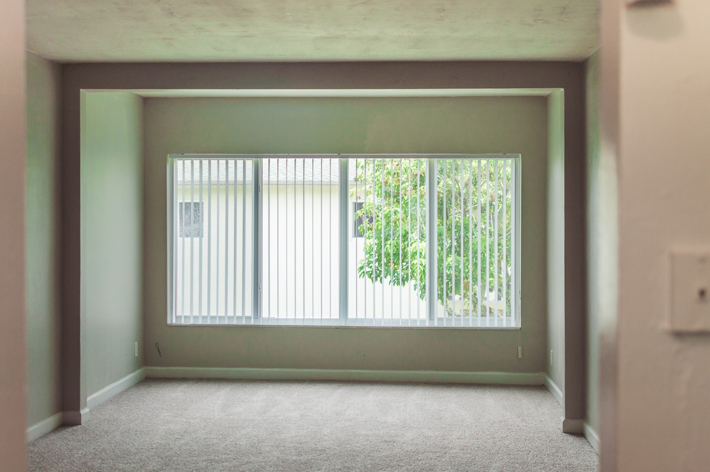 Spectra at Plantation Image 15