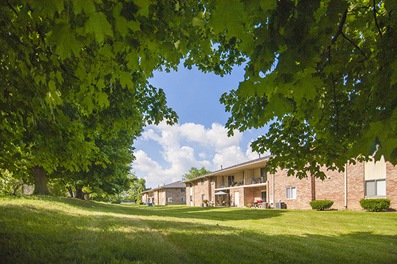 Beech Meadow Image 14