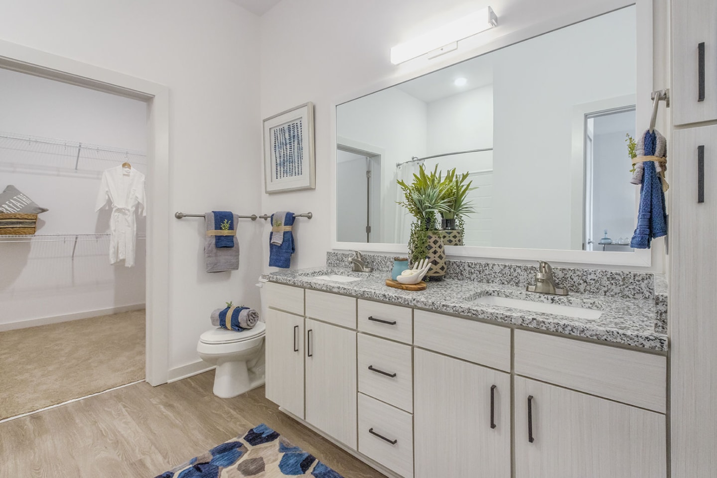 The Griff Luxury Apartments Image 6