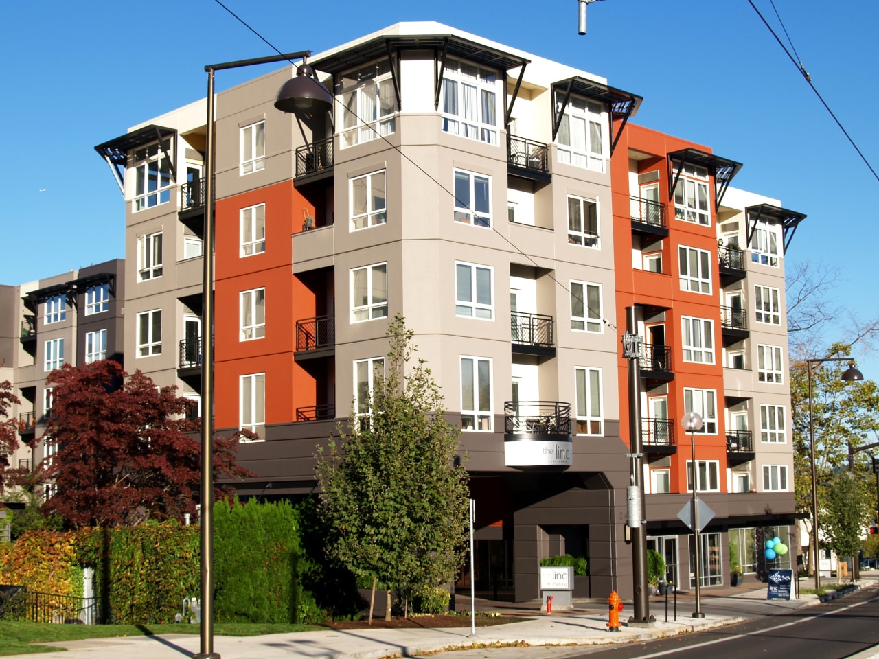 Linc245 Image 41