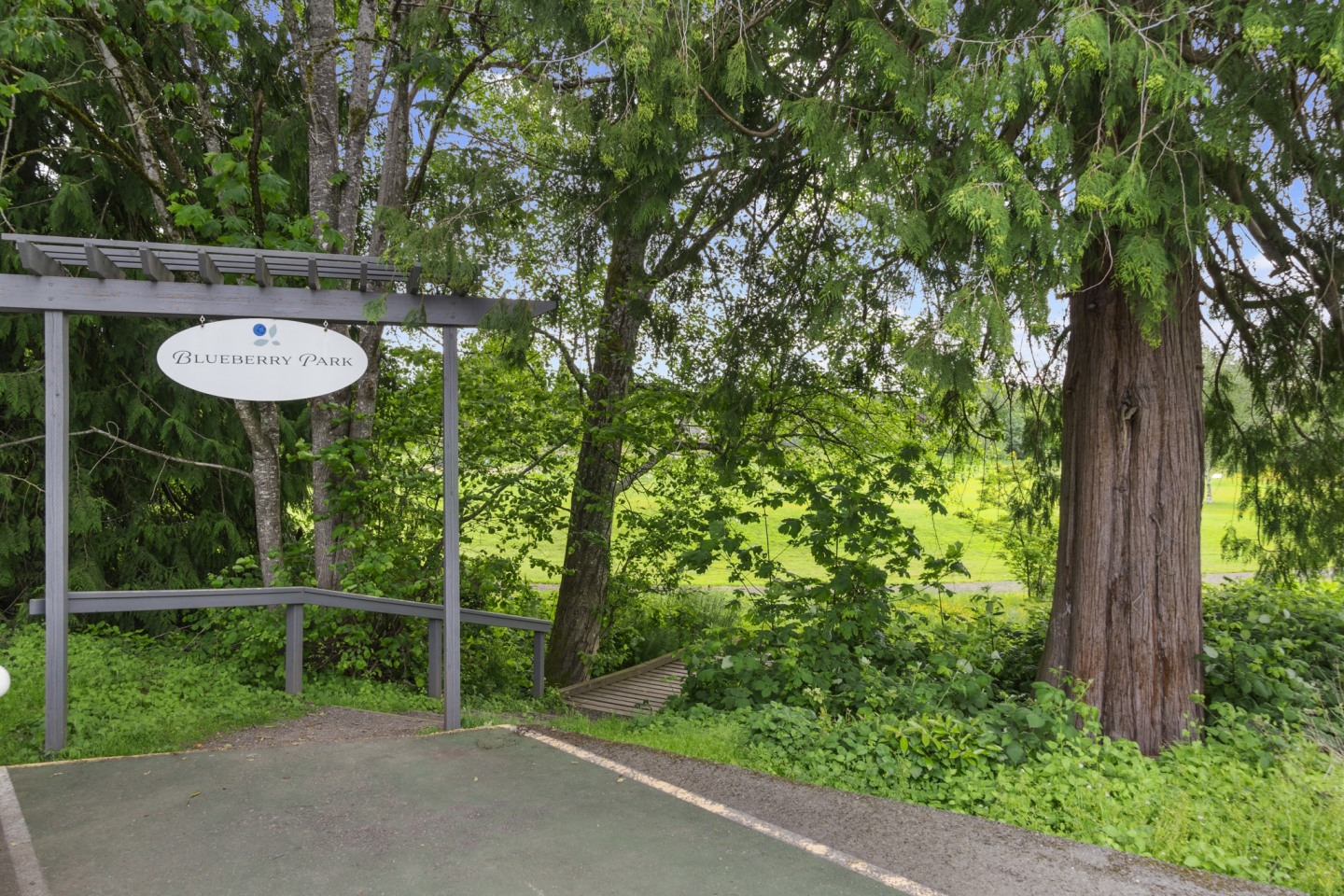 Reserve at Blueberry Park Image 16