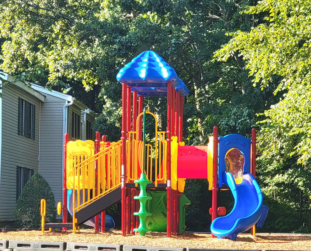 Legacy on Elm Image 13