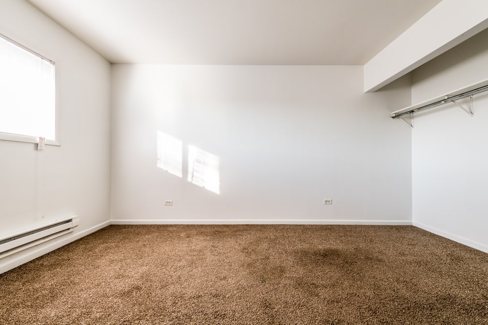Pangea 2115 S 4th Street Apartments Image 8