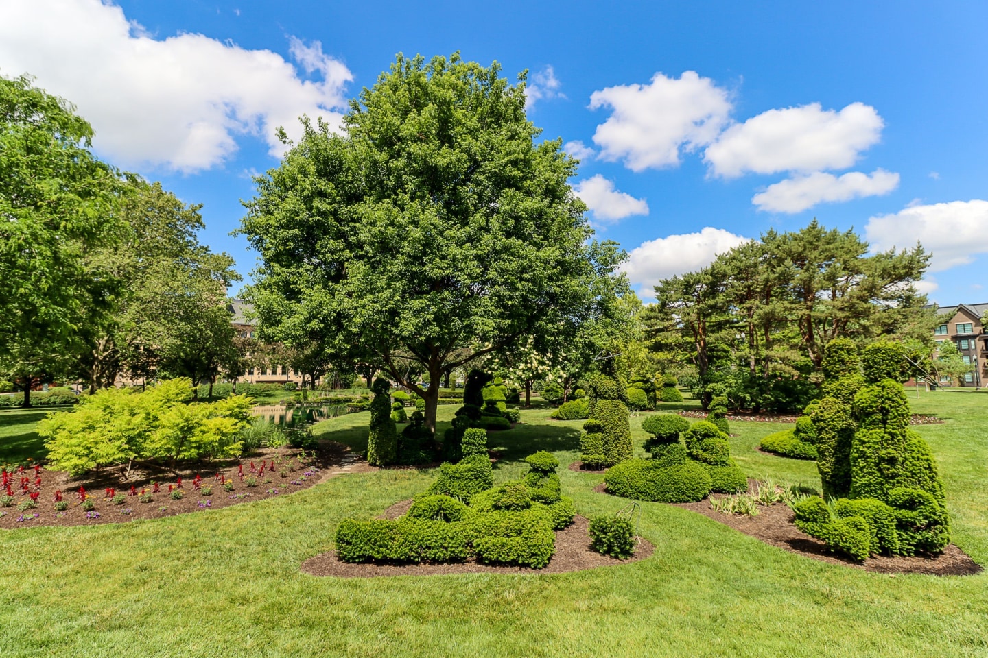 Residences at Topiary Park Image 12