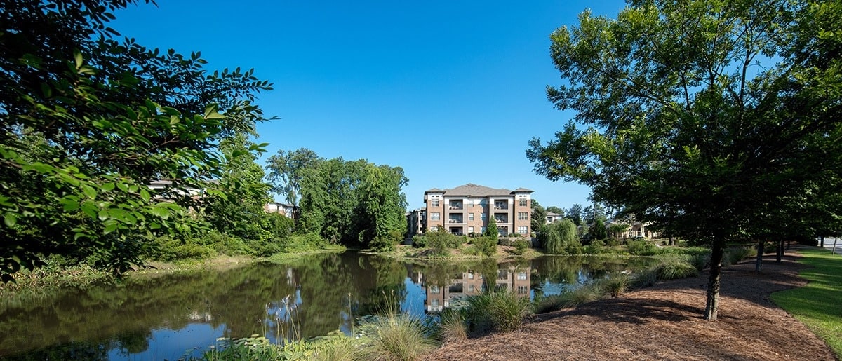 Arcadia's Edge Image 4