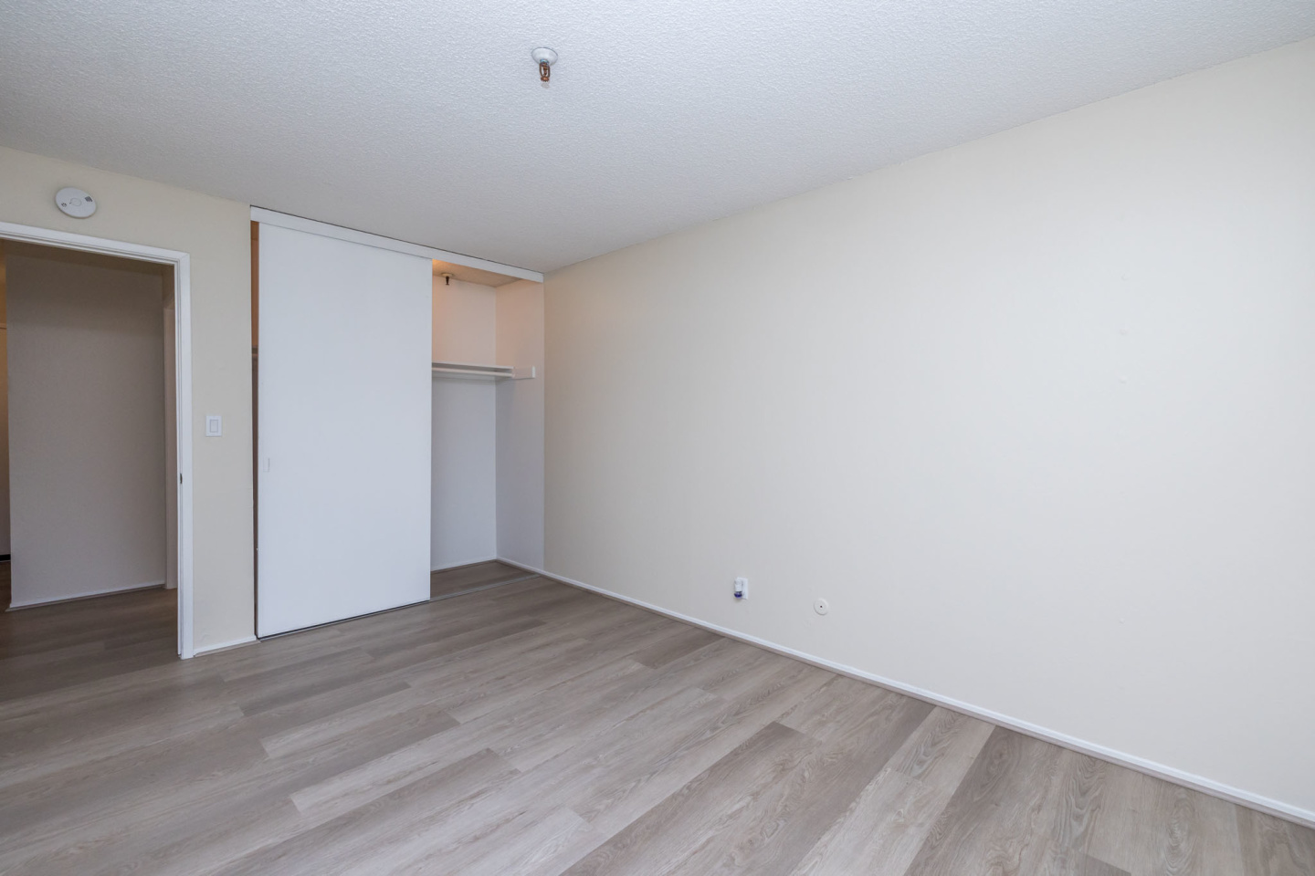 257 Vernon Apartments Image 8