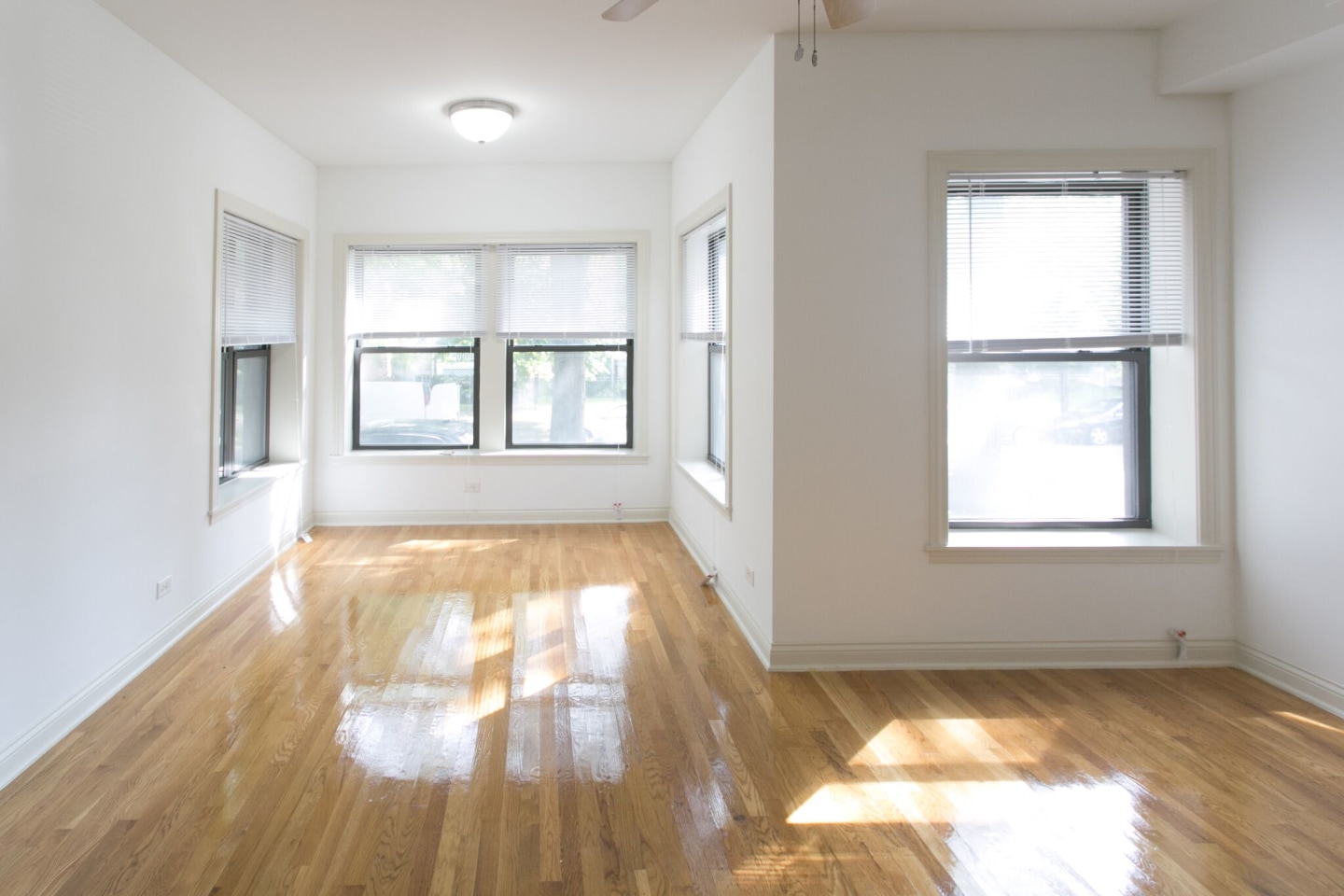 5400-5408 S. Ingleside Avenue Image 26