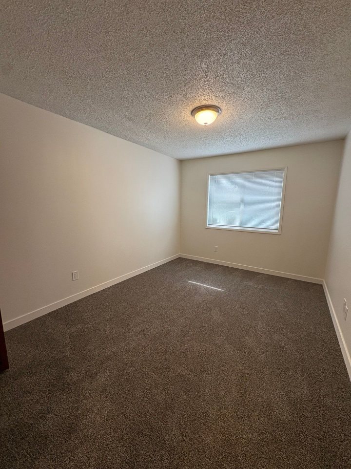 Willow Wood Apartments Image 2