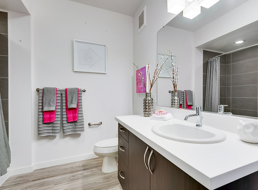 AMLI Cherry Creek Image 23