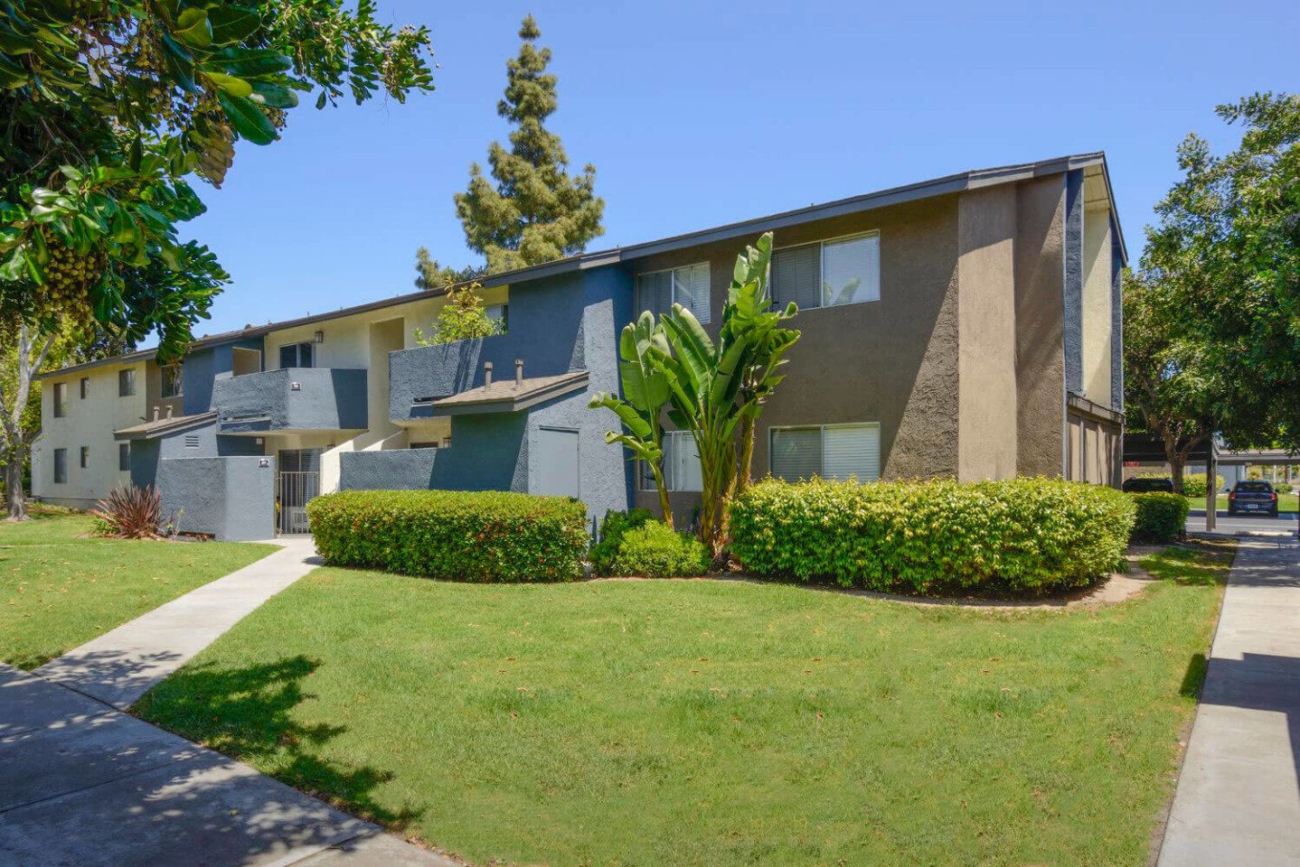 Vista Waterleaf Apartments Image 11