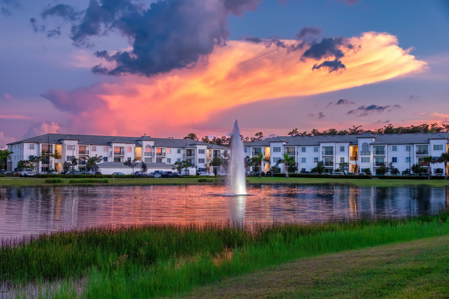 Town Treeline Image 15