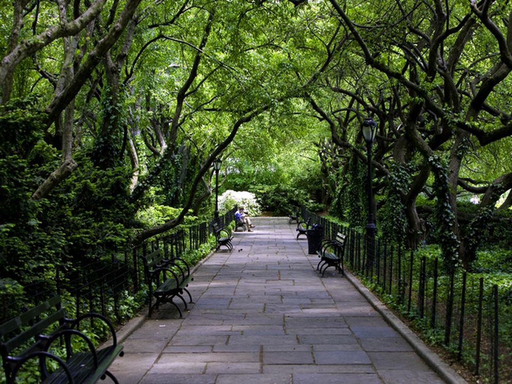 Avalon Morningside Park Image 44