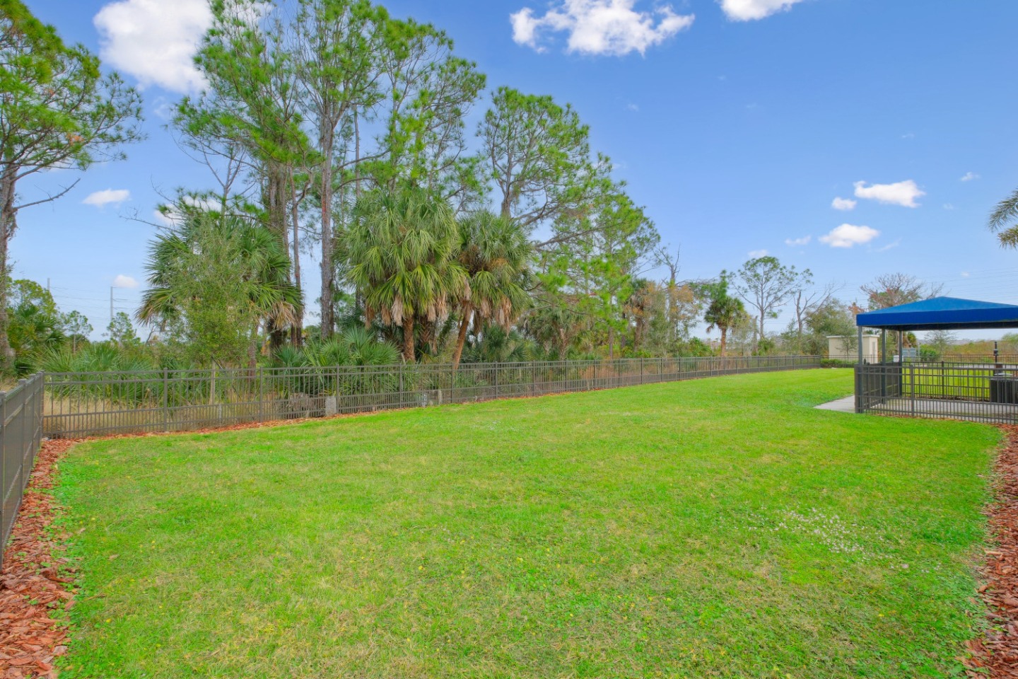 Fiore Townhomes - Built to Rent Housing Image 28
