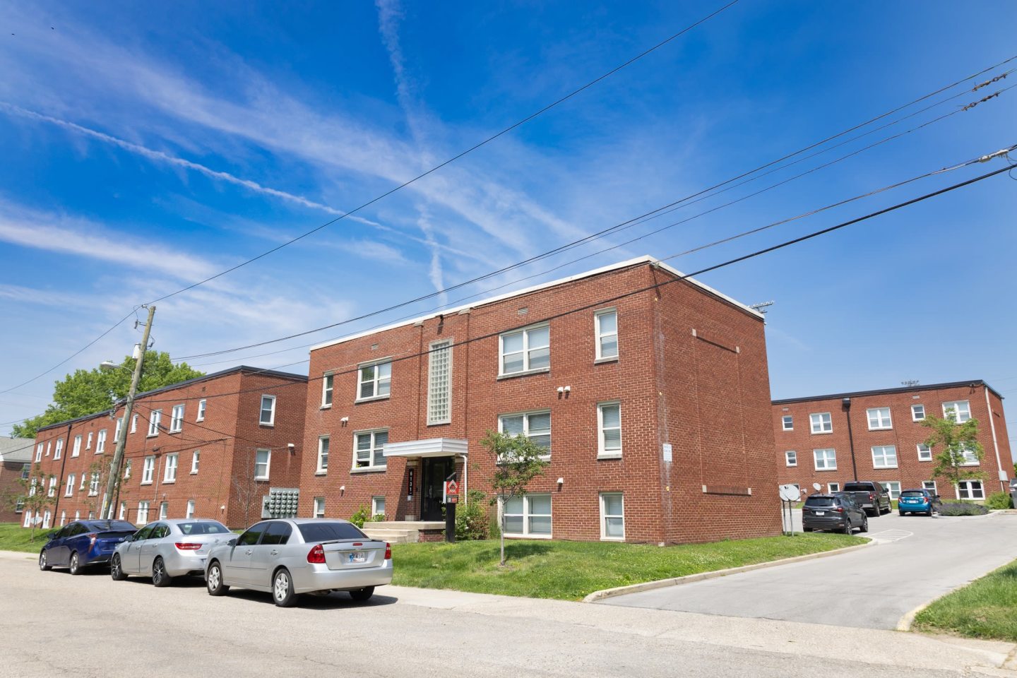 Monon Living Image 96