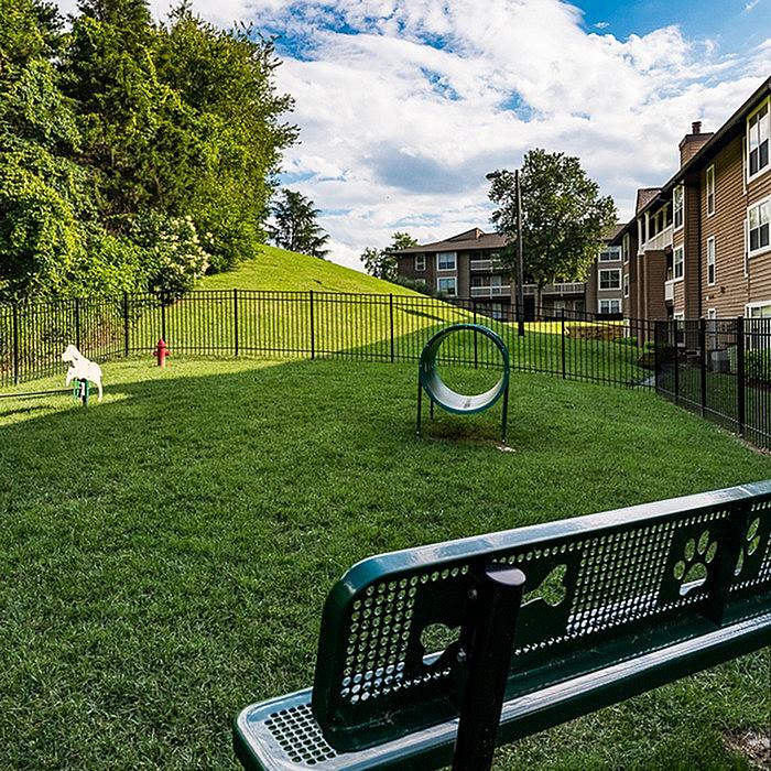 The Forest at Chasewood Apartment Homes Image 52