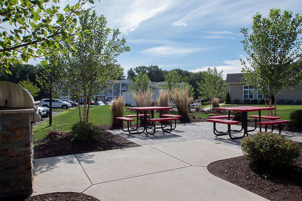 The Arbors at Brighton Park Image 15
