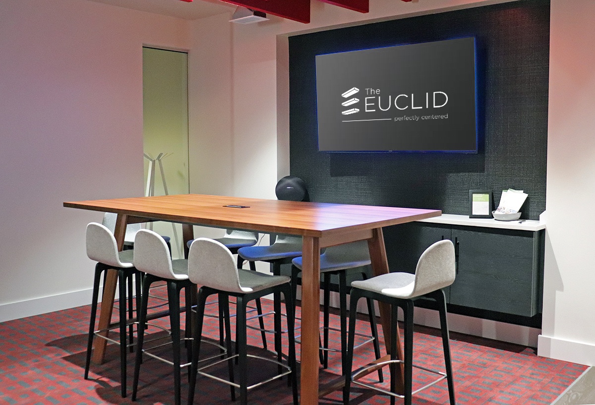 Euclid Image 22