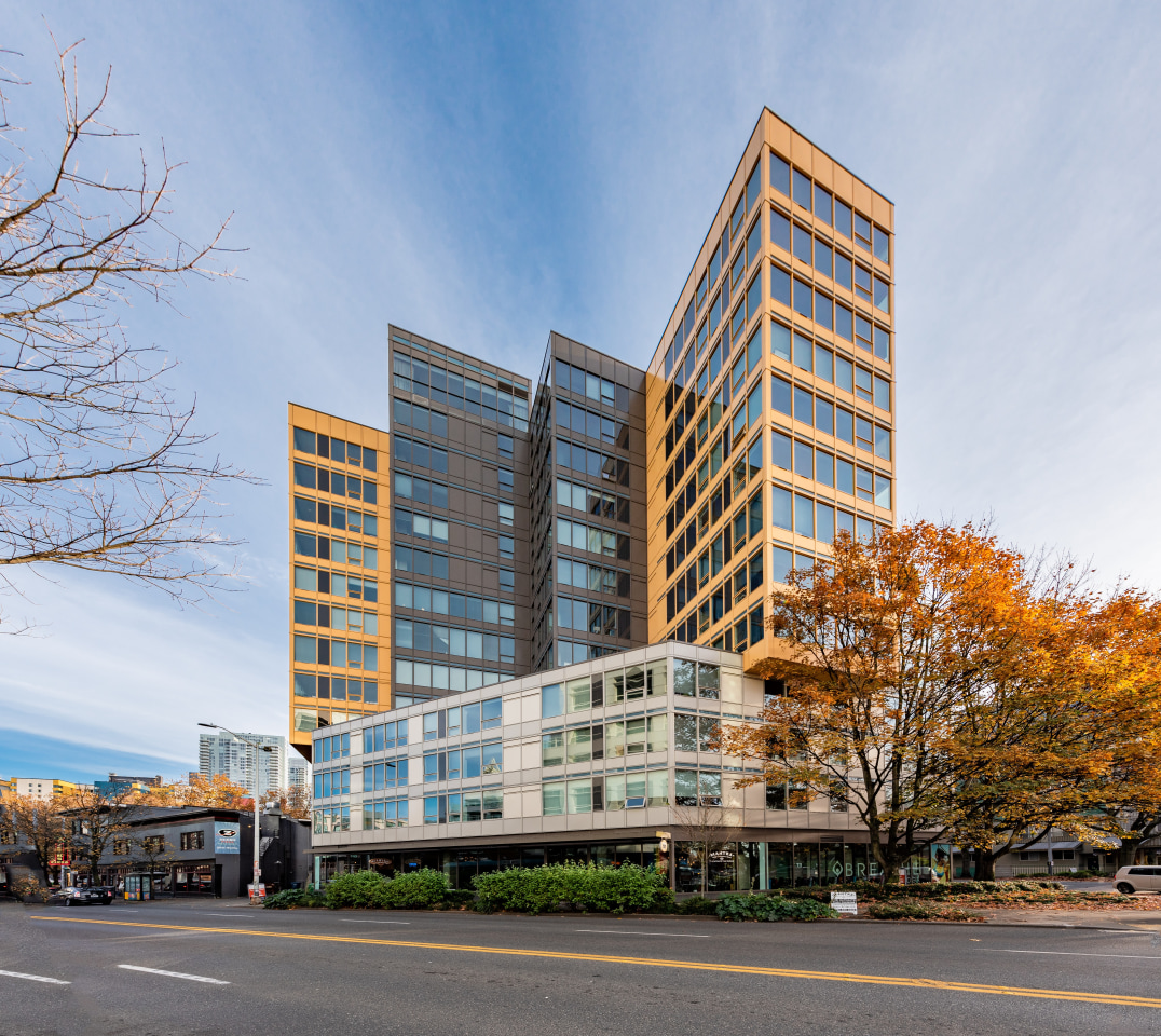 Verve Image 9