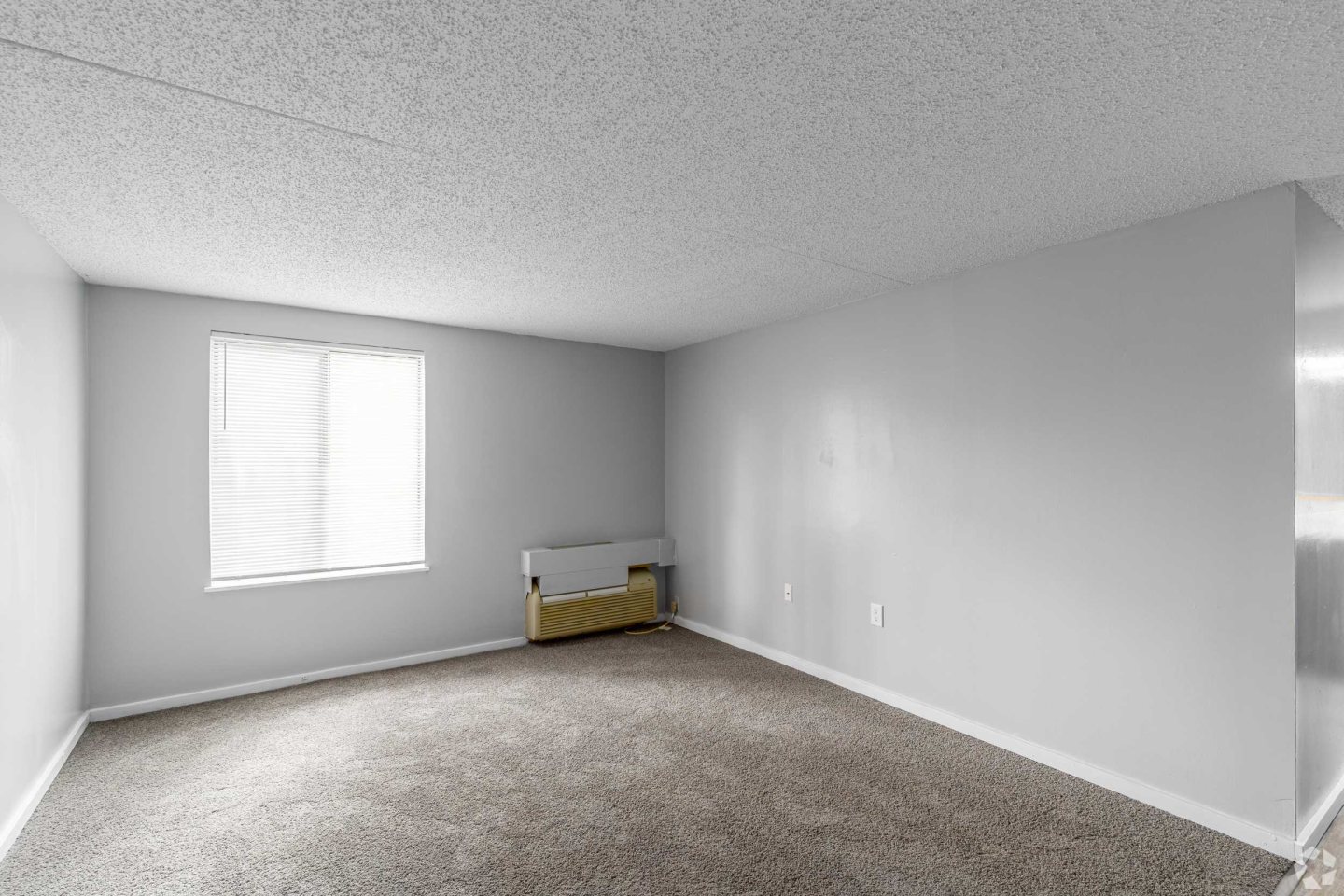 Premier Village Apartments Image 27