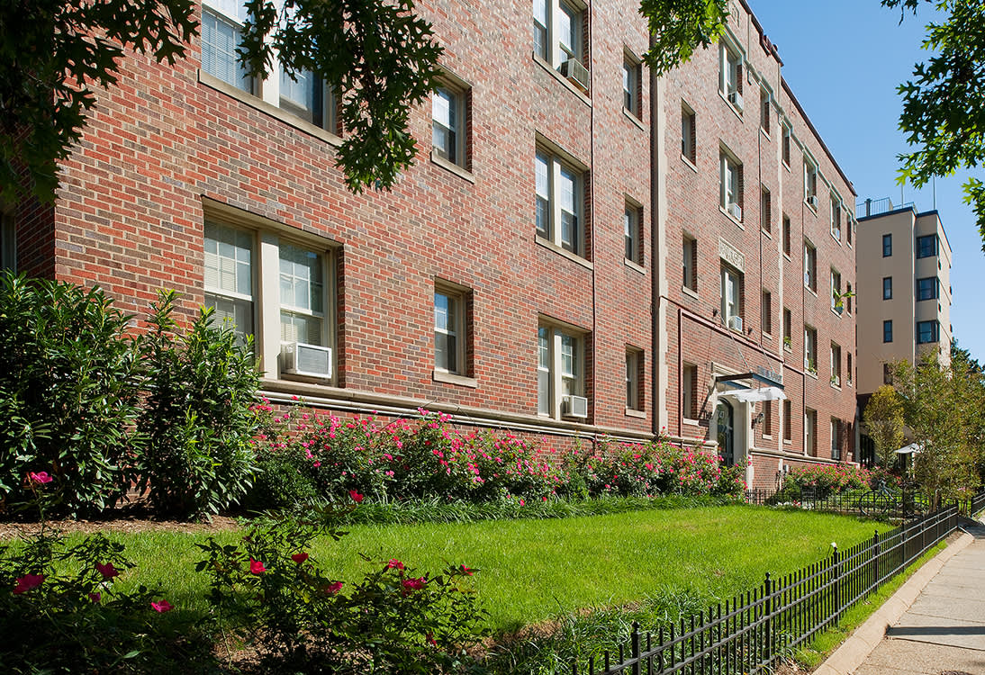 The August Image 2