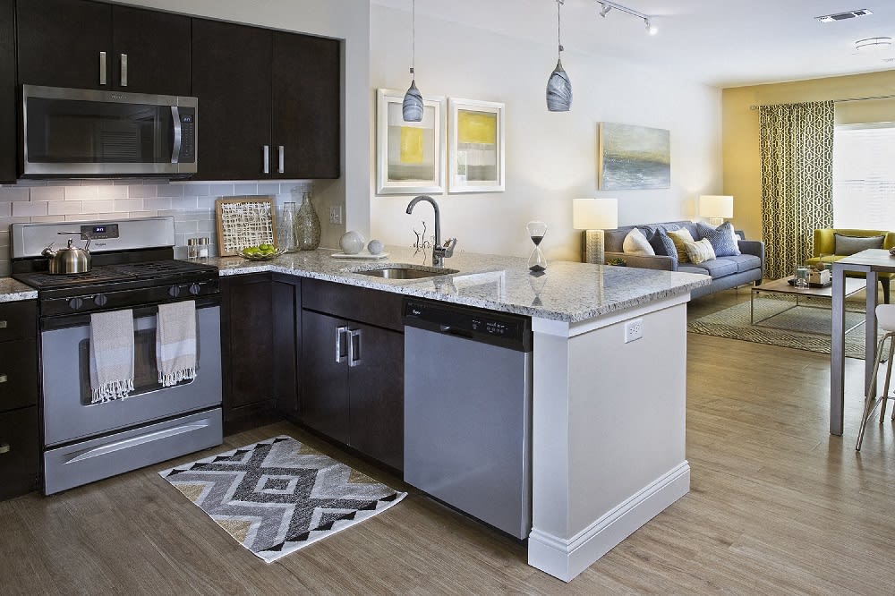 Axis at Lakeshore Image 12