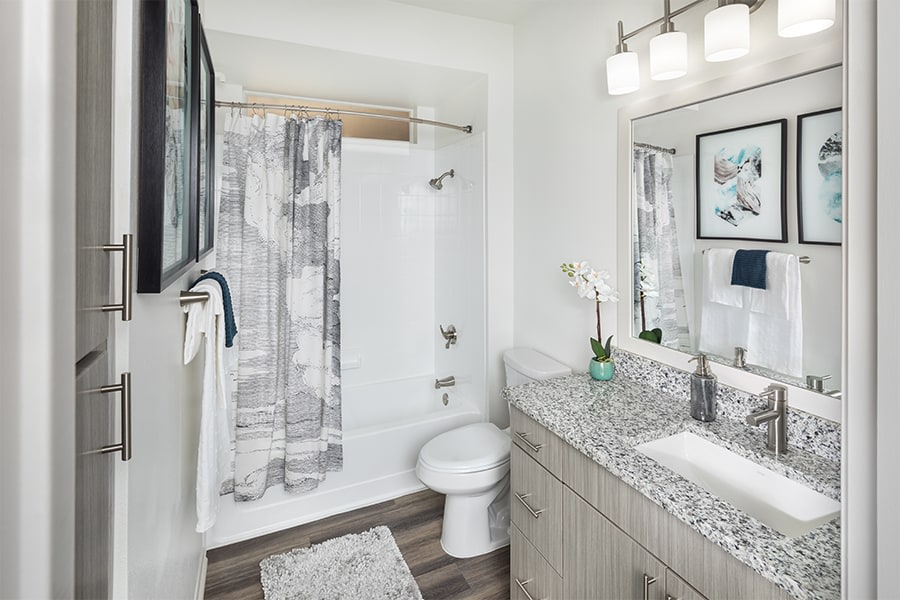 San Carlos Apartments Scottsdale Image 6